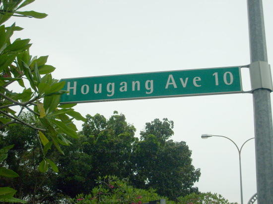 Hougang Avenue 10 #103802